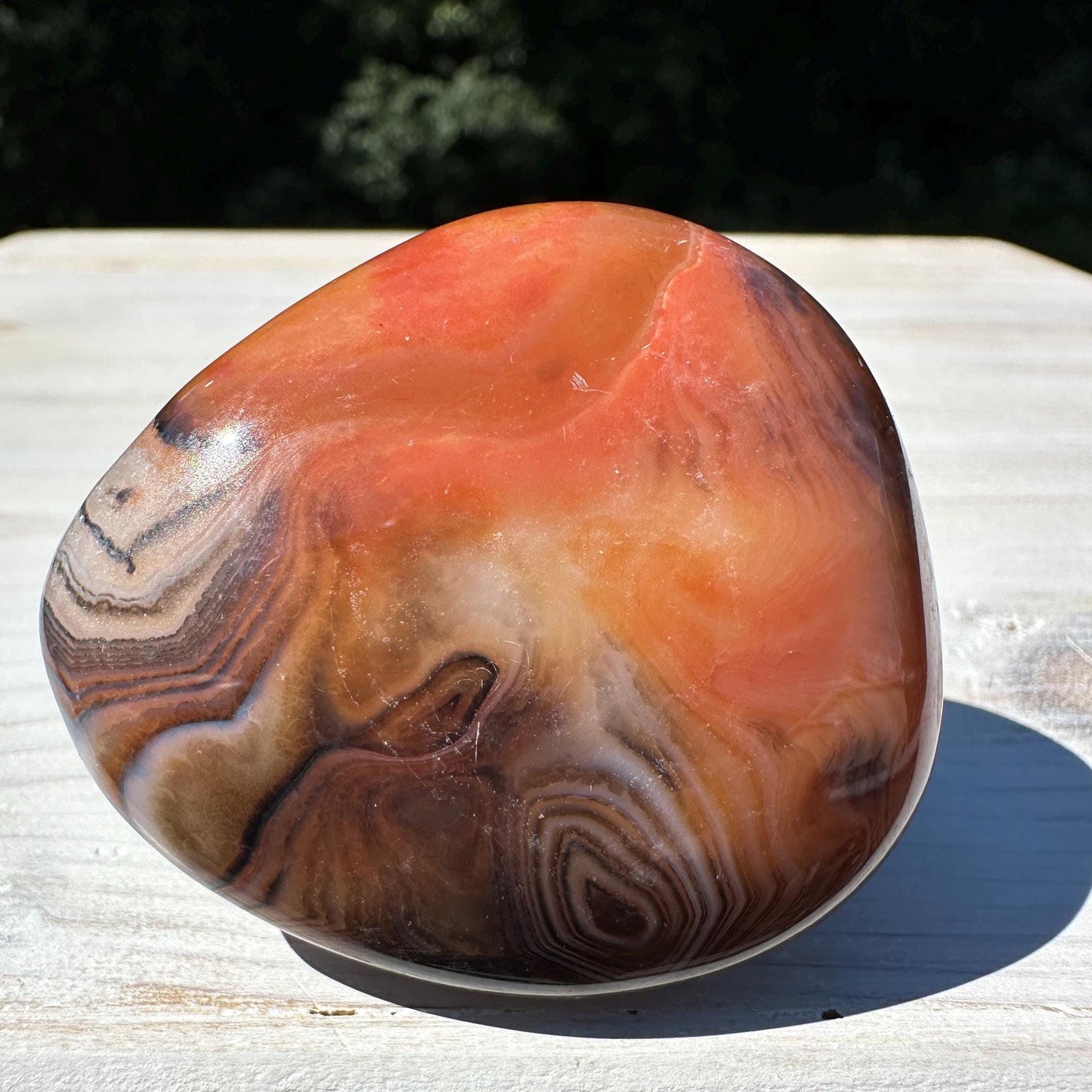 Gorgeous Sardonyx Freeform - #14