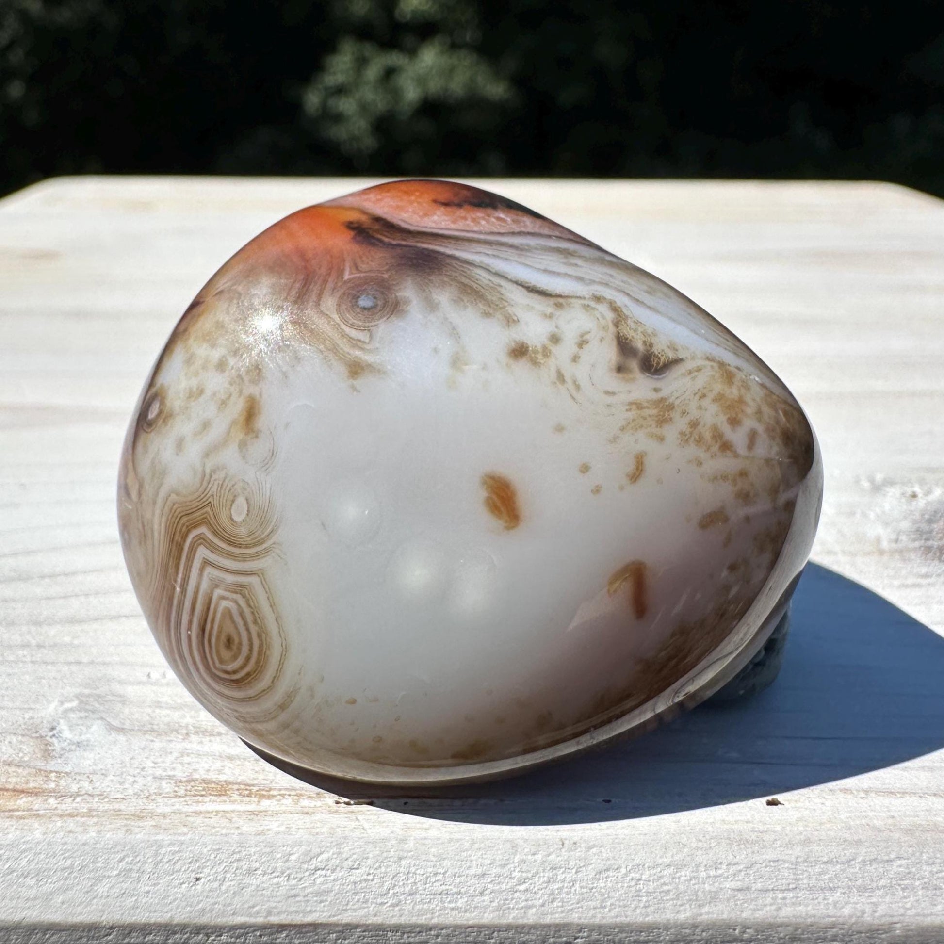 Gorgeous Sardonyx Freeform - #14