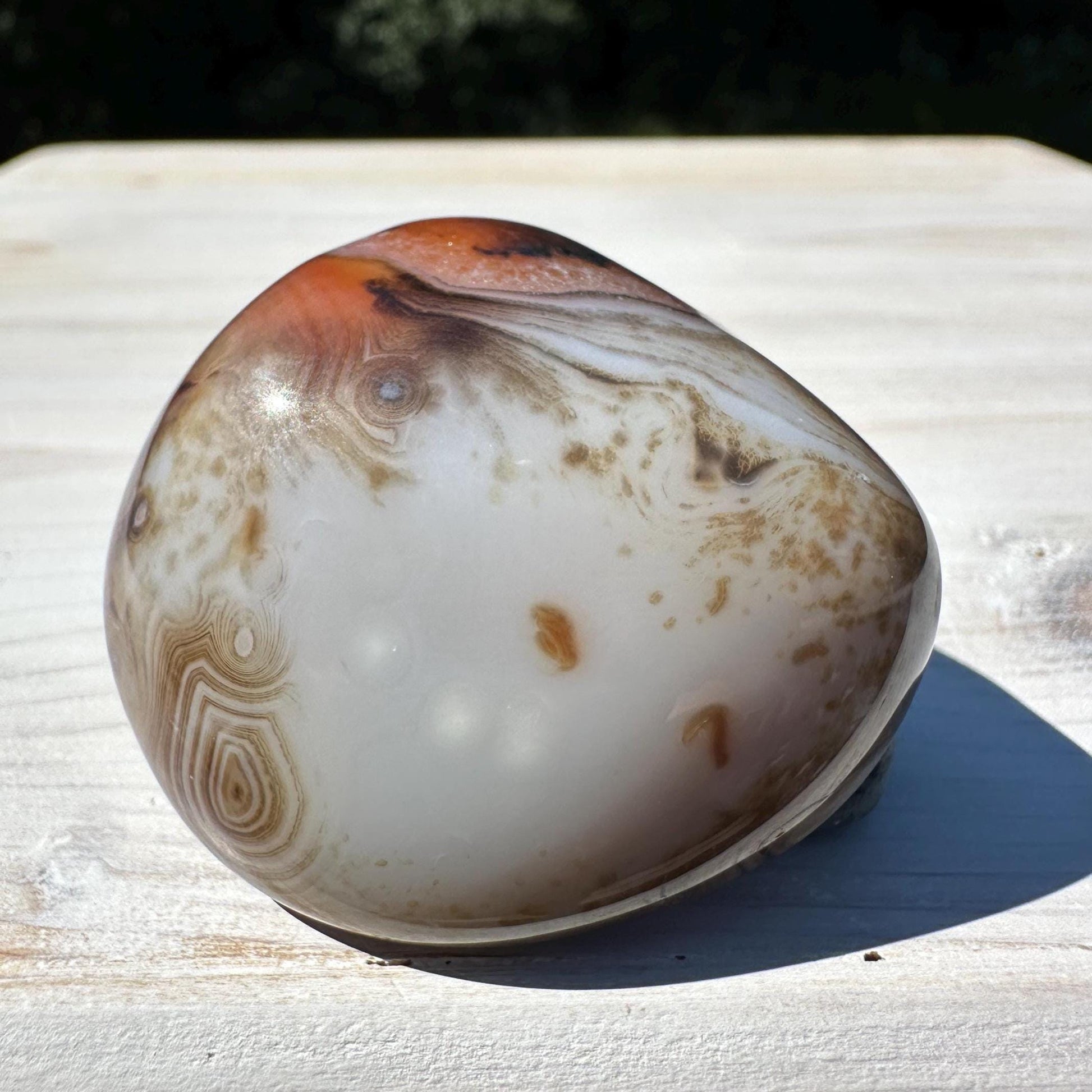 Gorgeous Sardonyx Freeform - #14