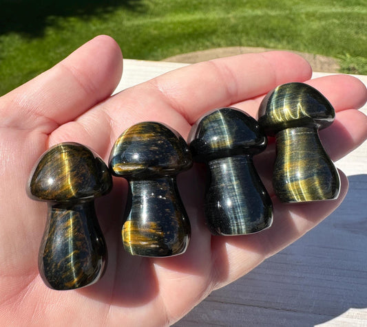 One (1) Stunning Blue Tiger Eye Mushroom