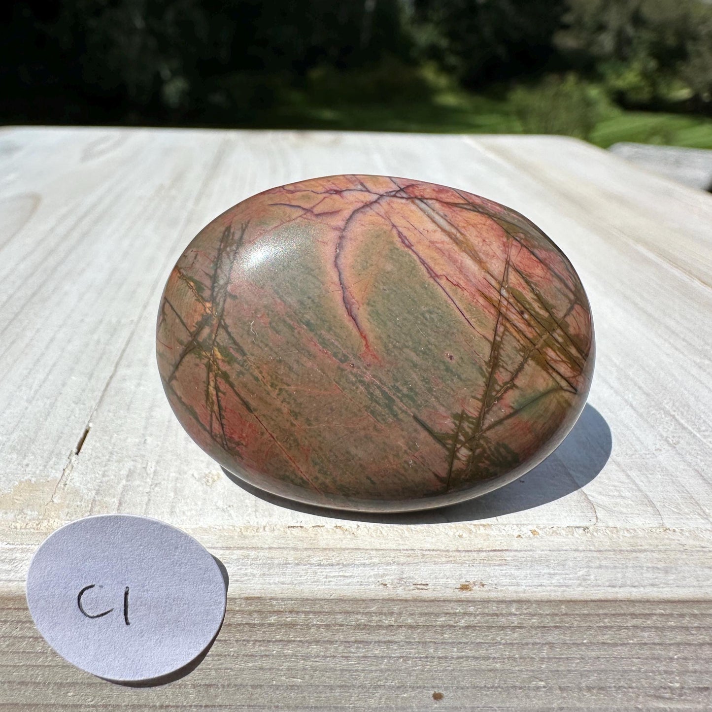 Gorgeous Cherry Creek Jasper Palm Stones - #1
