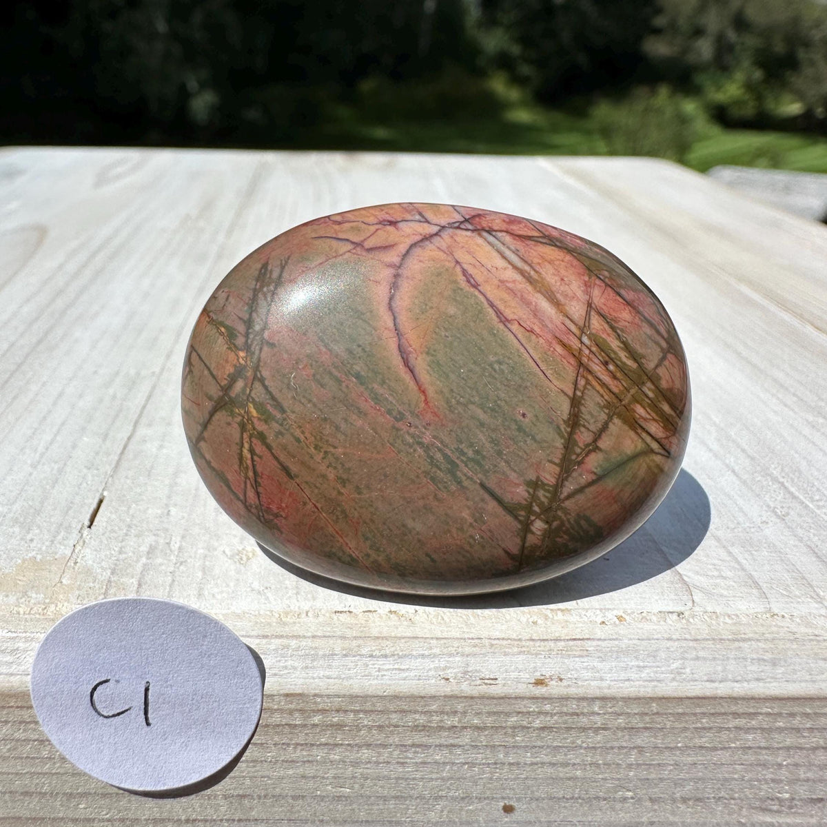 Gorgeous Cherry Creek Jasper Palm Stones - #1