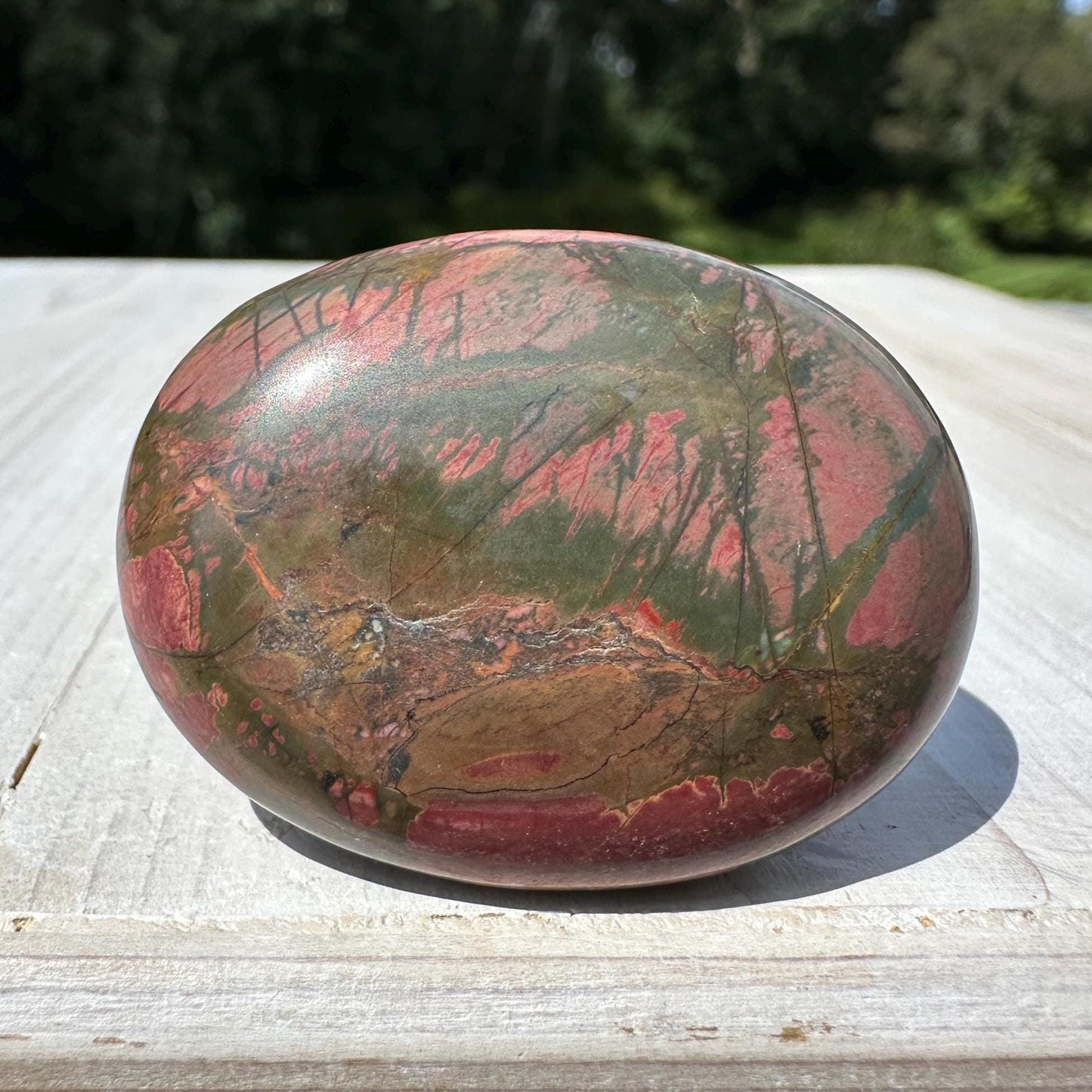 Gorgeous Cherry Creek Jasper Palm Stones - #1