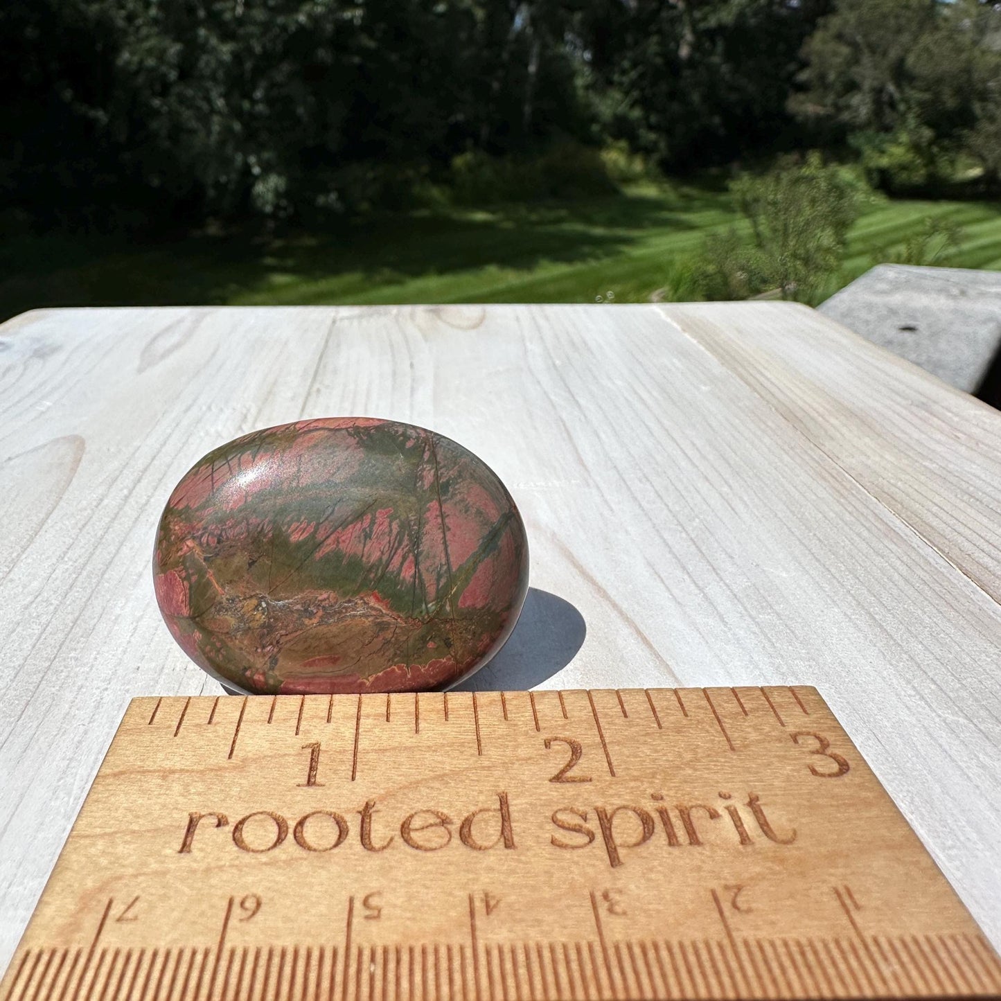 Gorgeous Cherry Creek Jasper Palm Stones - #1