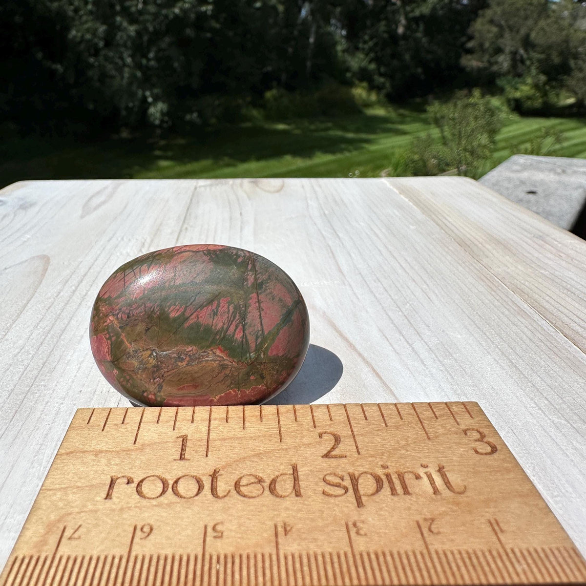 Gorgeous Cherry Creek Jasper Palm Stones - #1