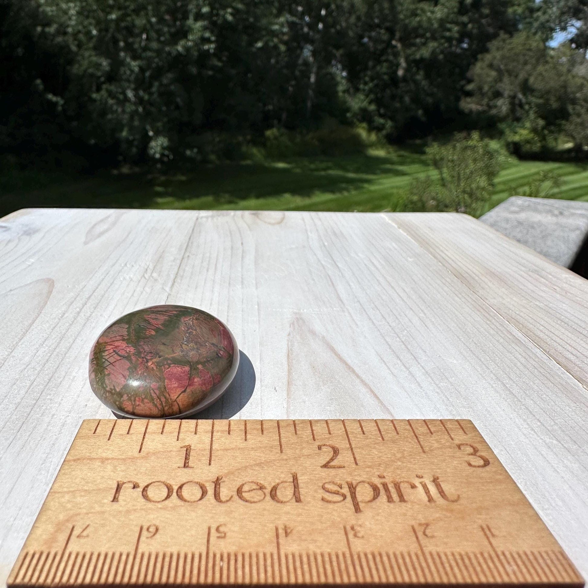 Gorgeous Cherry Creek Jasper Palm Stones - #1