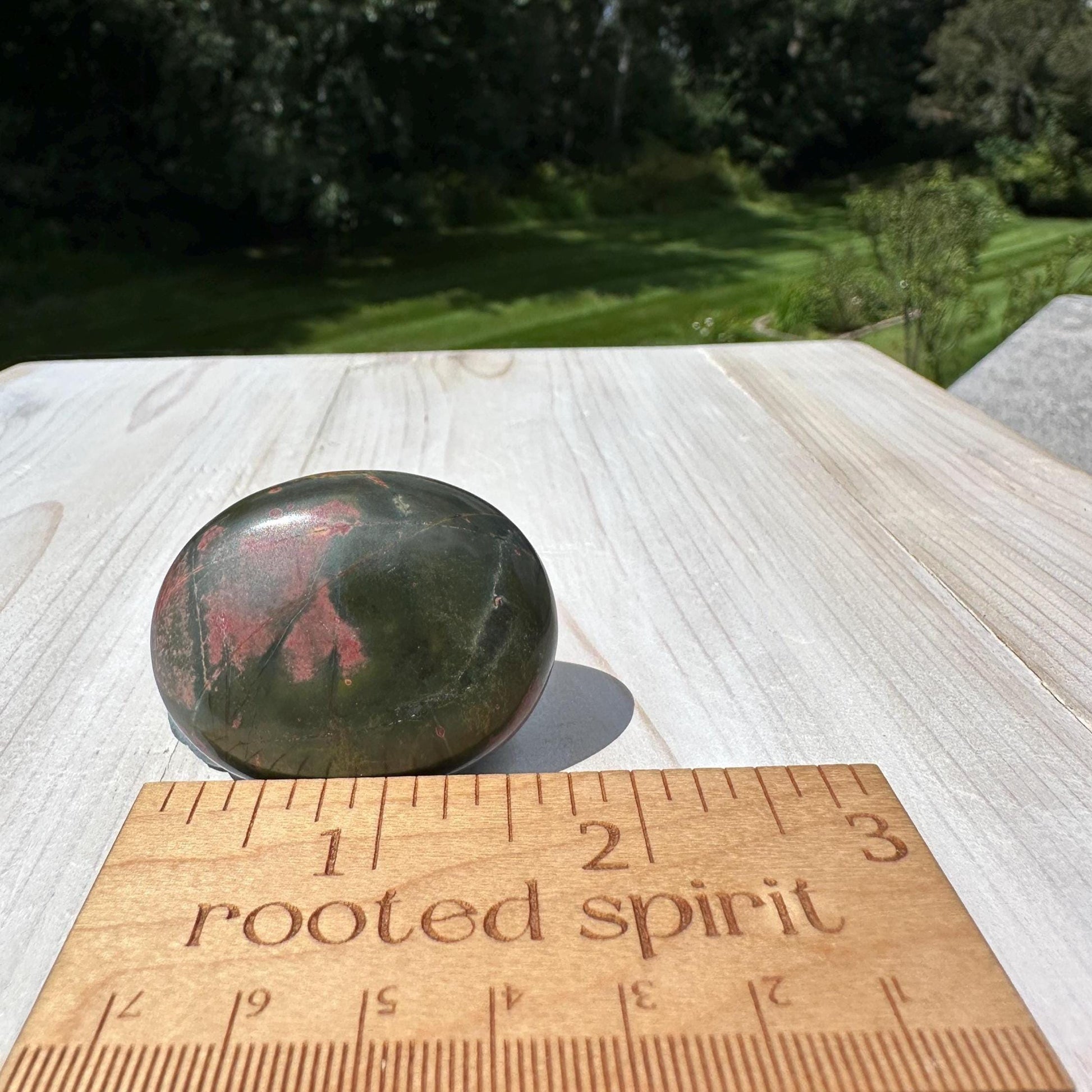 Gorgeous Cherry Creek Jasper Palm Stones - #5