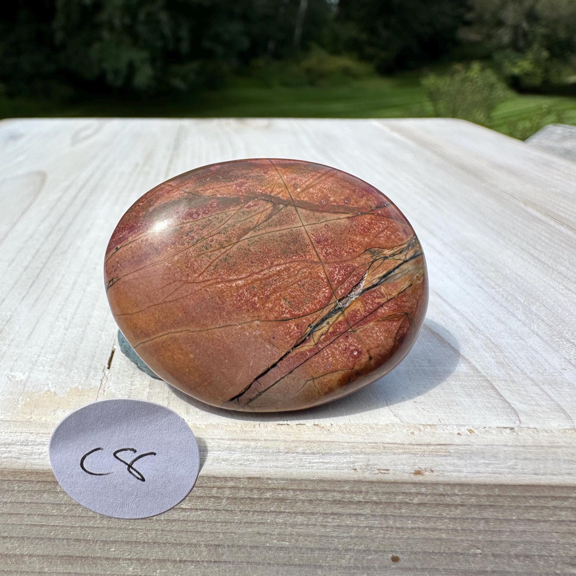 Gorgeous Cherry Creek Jasper Palm Stones - #8