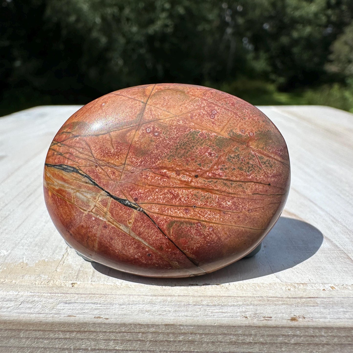 Gorgeous Cherry Creek Jasper Palm Stones - #8