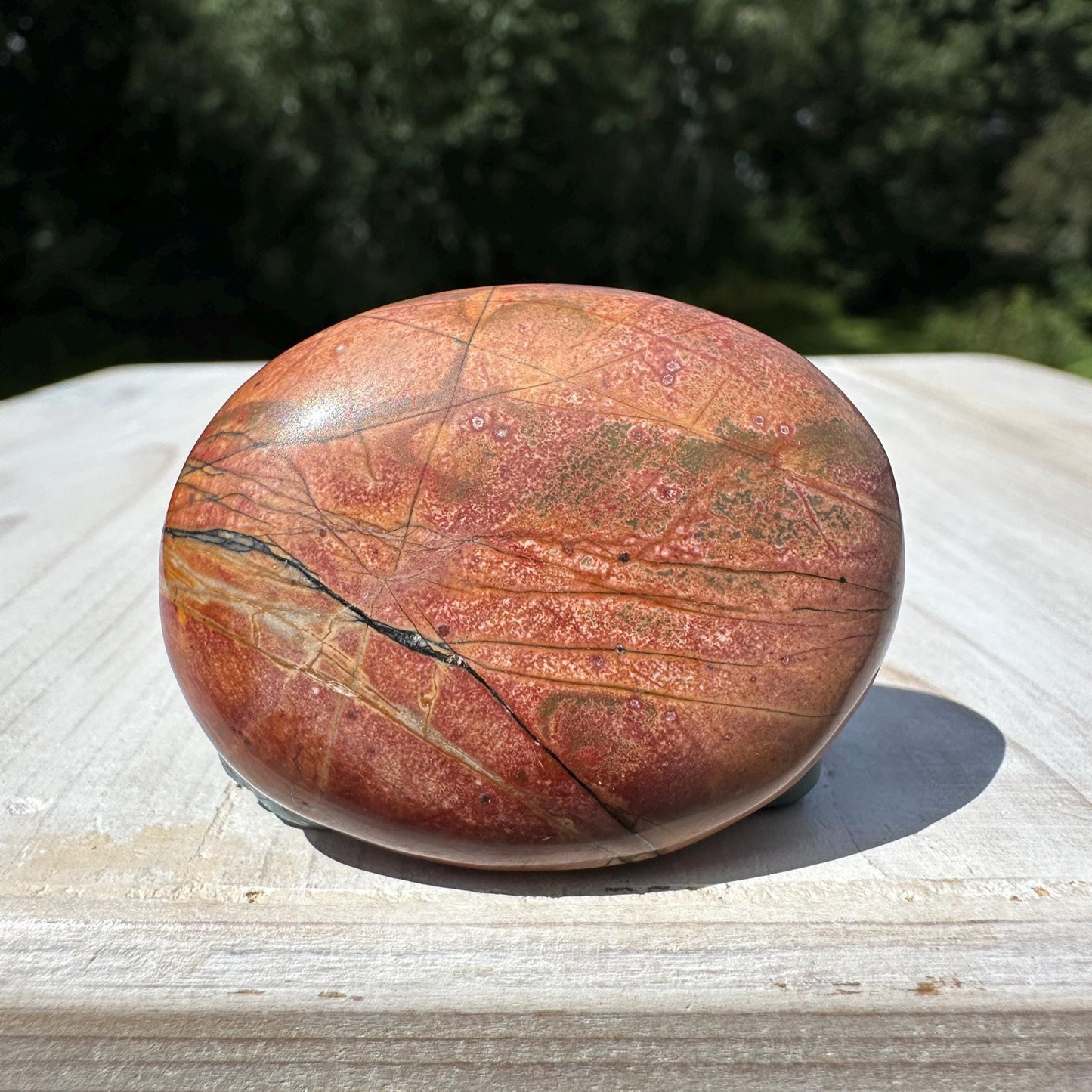 Gorgeous Cherry Creek Jasper Palm Stones - #8