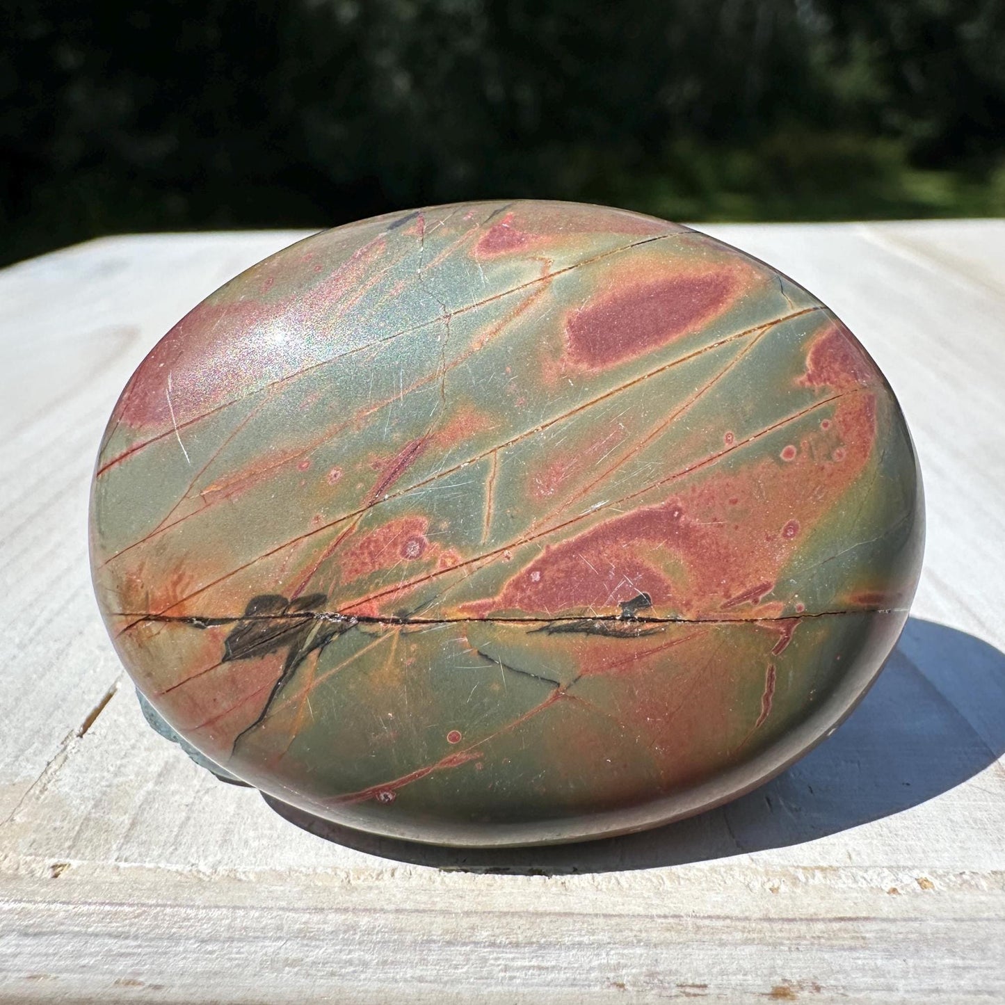 Gorgeous Cherry Creek Jasper Palm Stones - #10