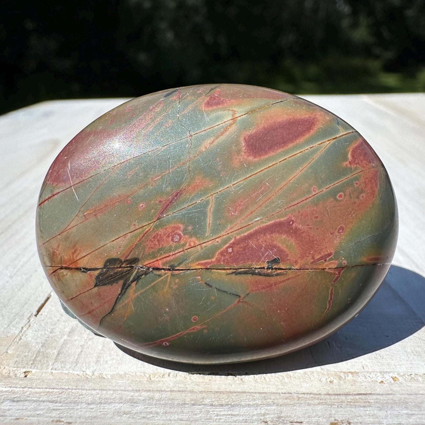 Gorgeous Cherry Creek Jasper Palm Stones - #10