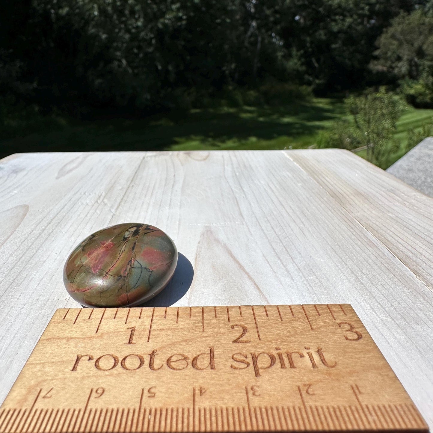 Gorgeous Cherry Creek Jasper Palm Stones - #10