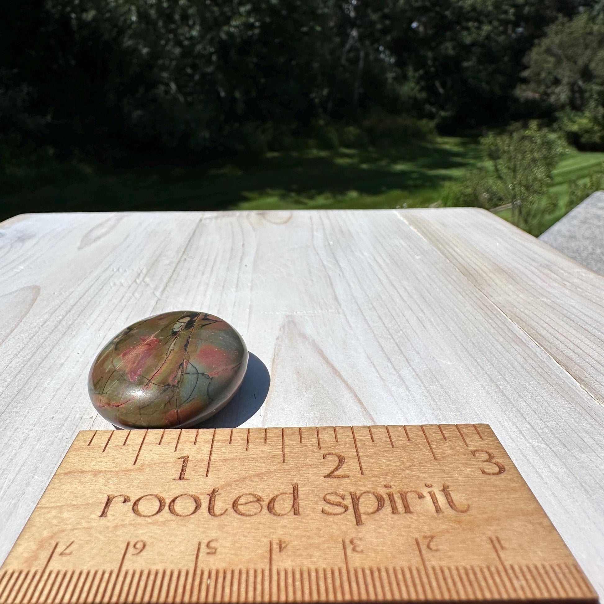 Gorgeous Cherry Creek Jasper Palm Stones - #10