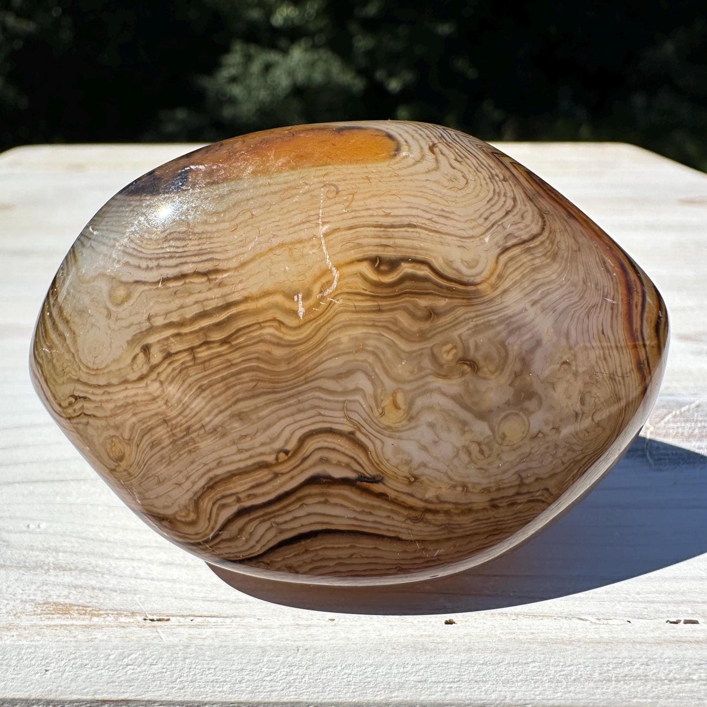 Gorgeous Sardonyx Freeform - #7