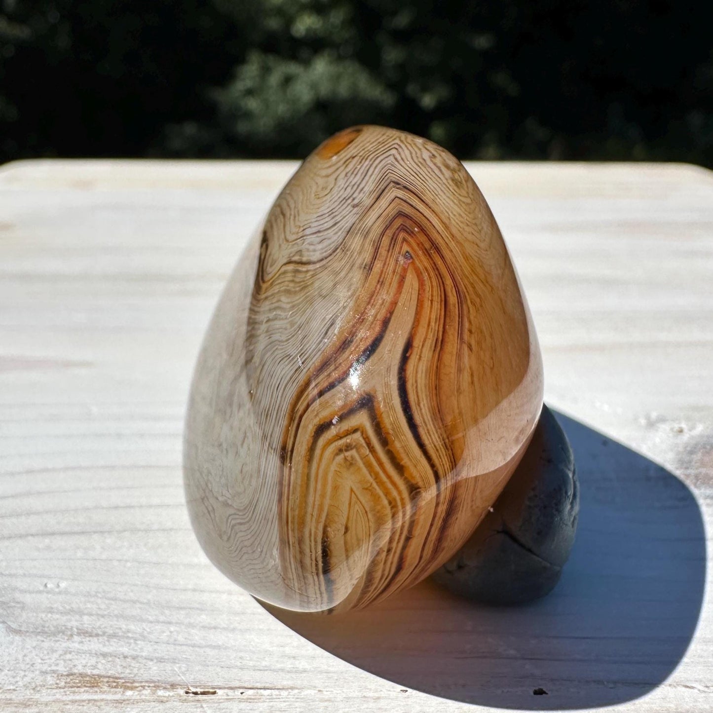 Gorgeous Sardonyx Freeform - #7