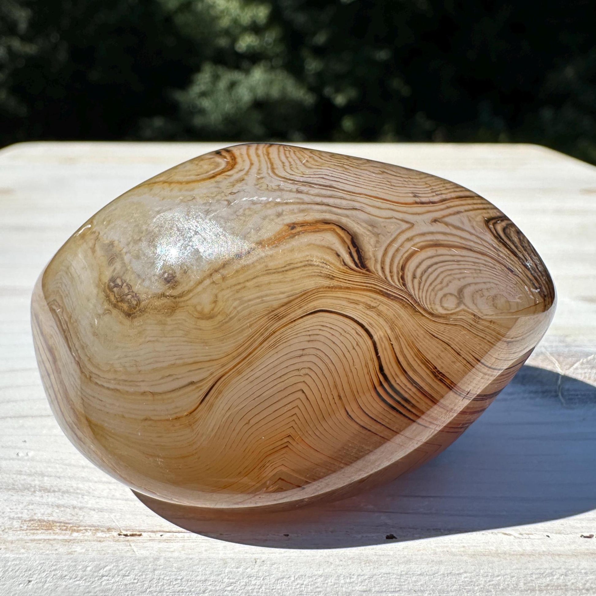 Gorgeous Sardonyx Freeform - #7