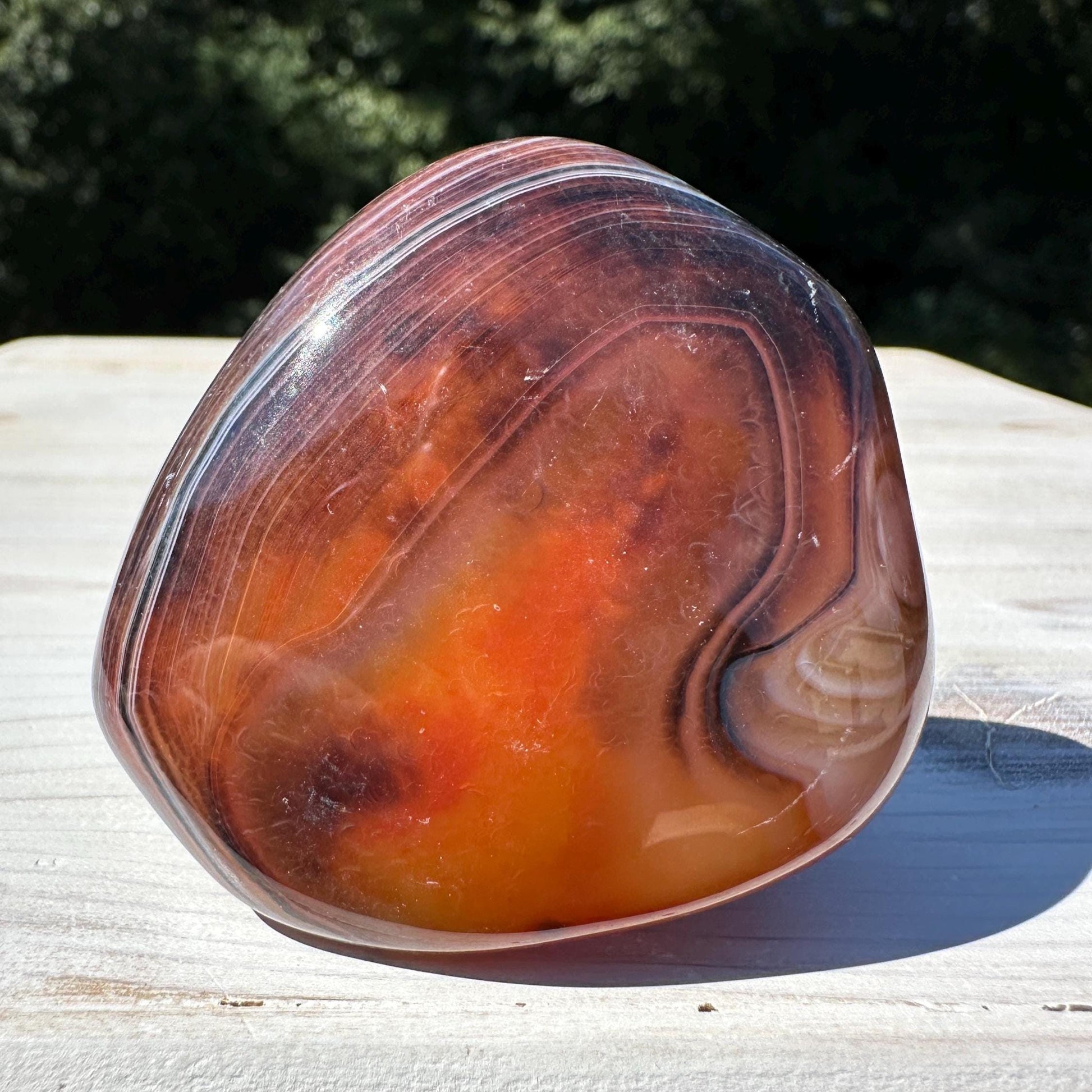Gorgeous Sardonyx Freeform - #9