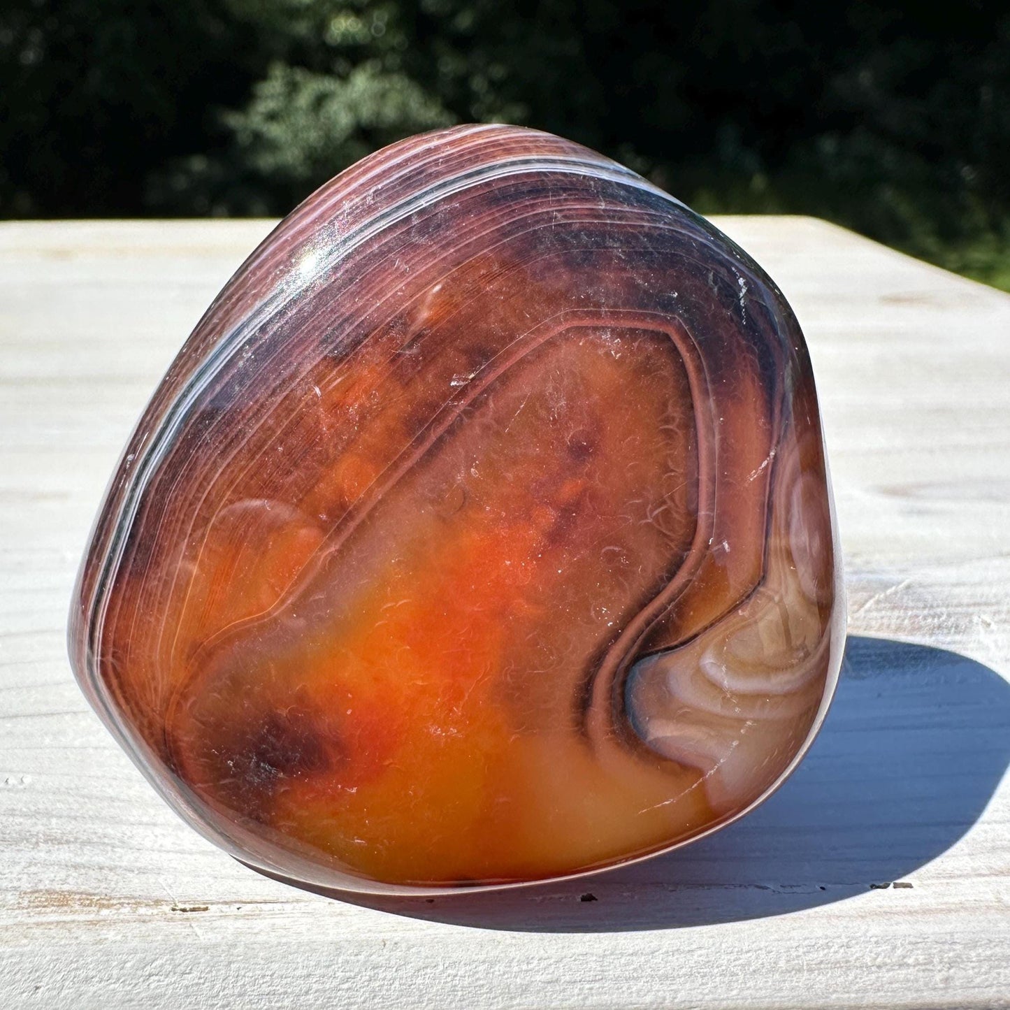 Gorgeous Sardonyx Freeform - #9
