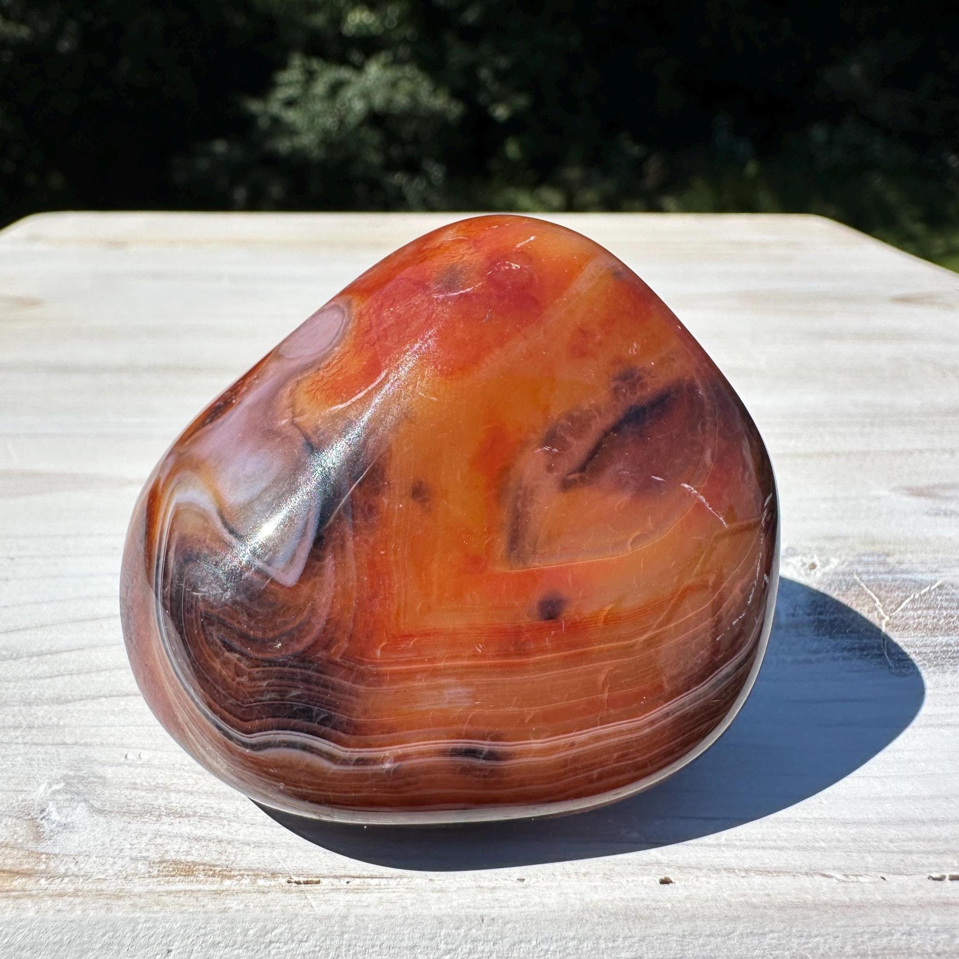 Gorgeous Sardonyx Freeform - #9