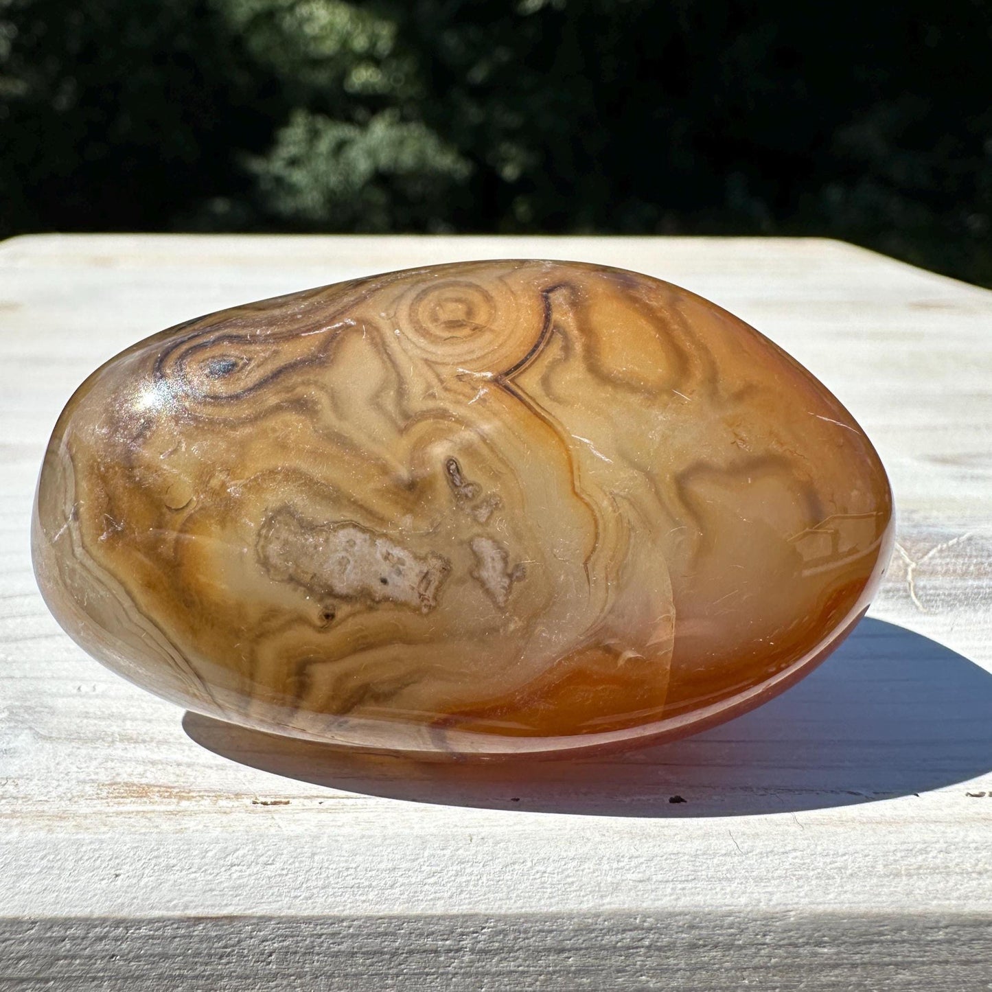 Gorgeous Sardonyx Freeform - #10