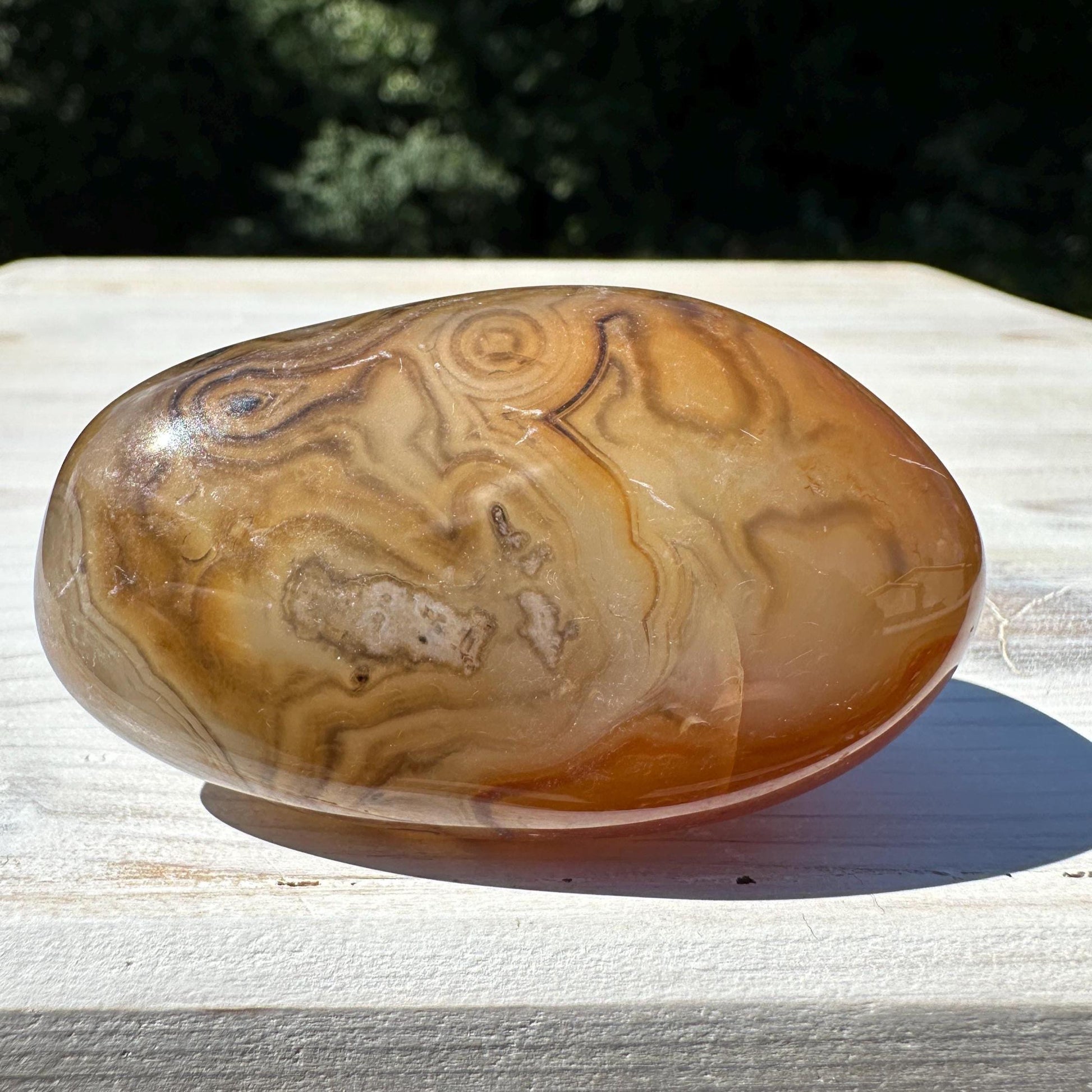 Gorgeous Sardonyx Freeform - #10