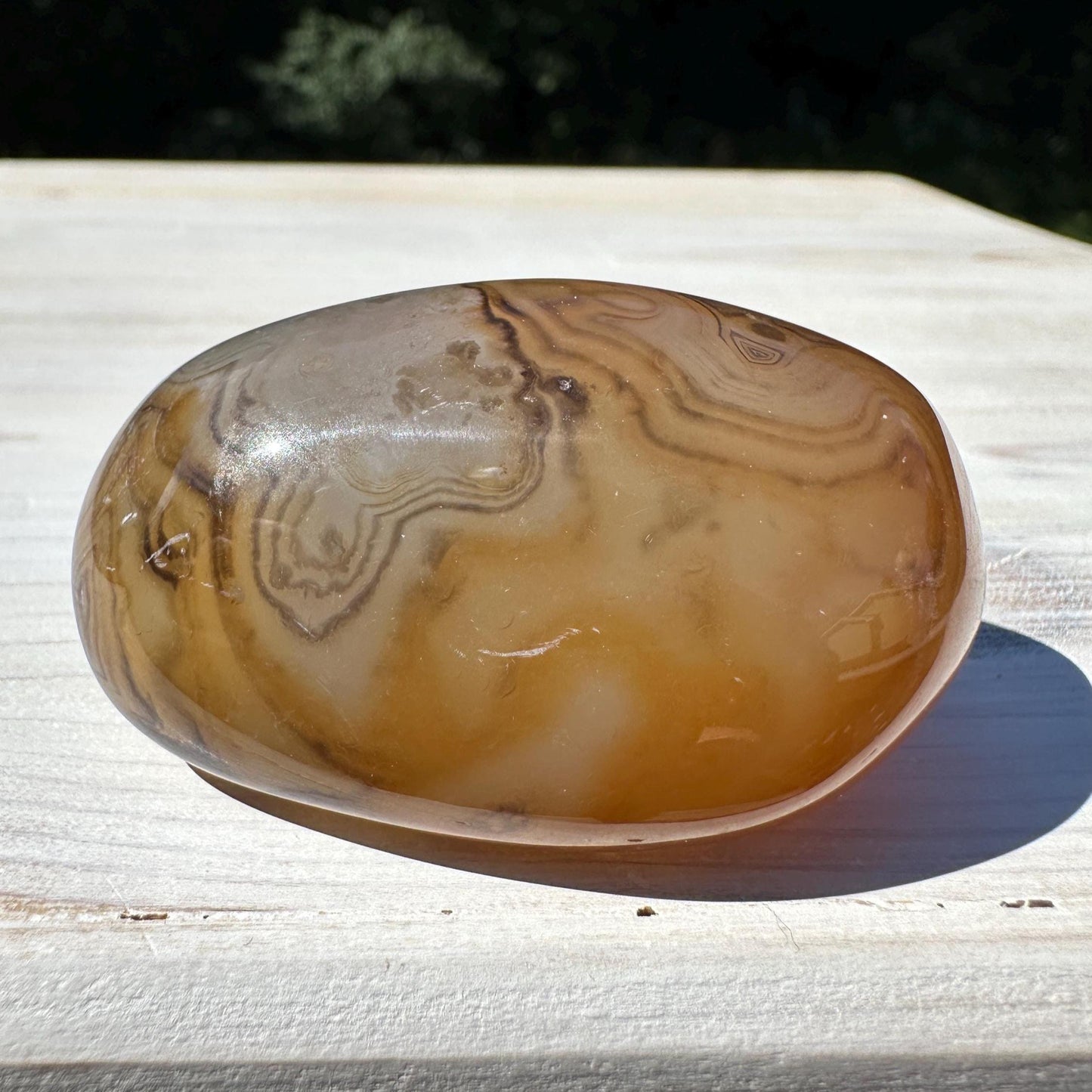 Gorgeous Sardonyx Freeform - #10