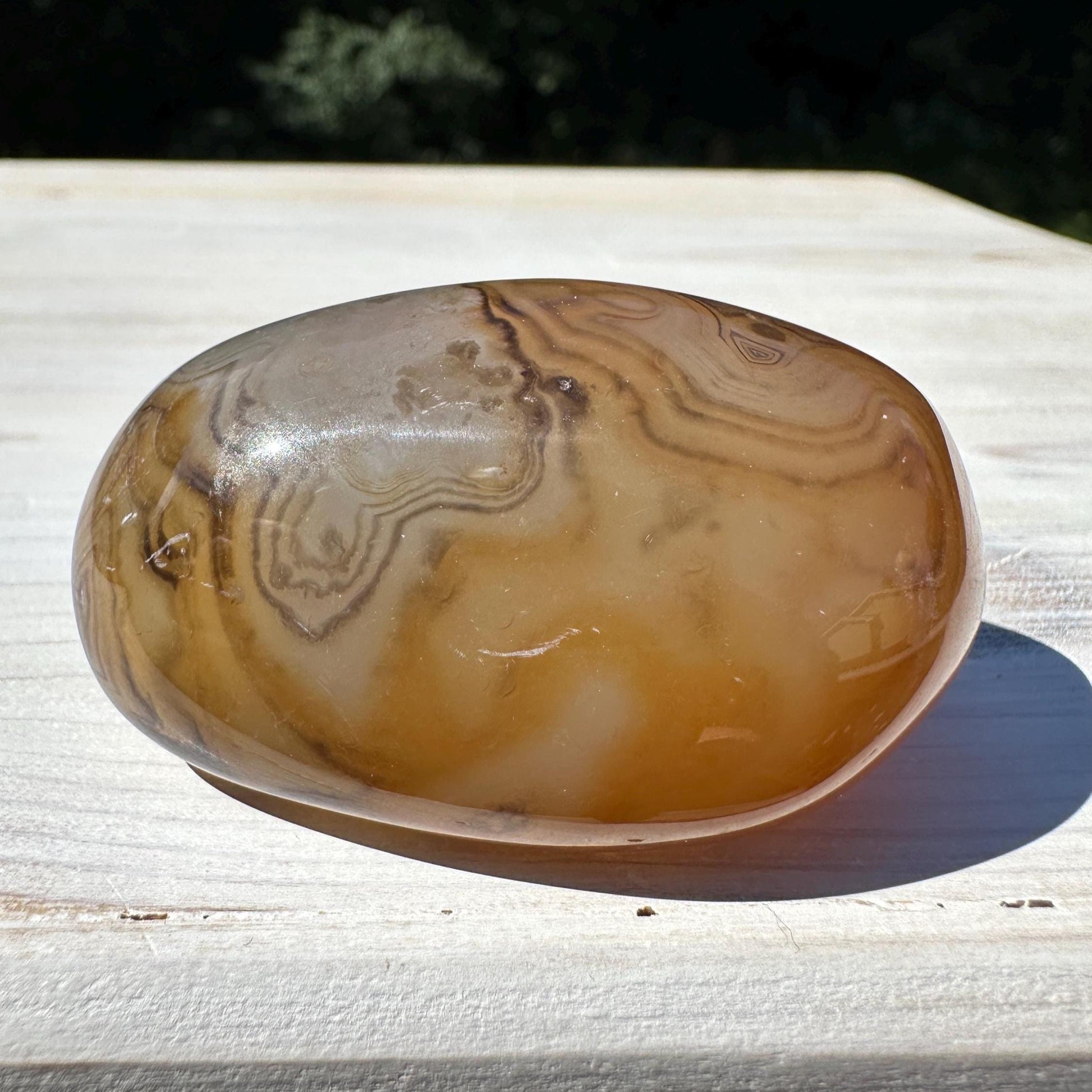 Gorgeous Sardonyx Freeform - #10