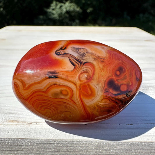 Gorgeous Sardonyx Freeform - #11