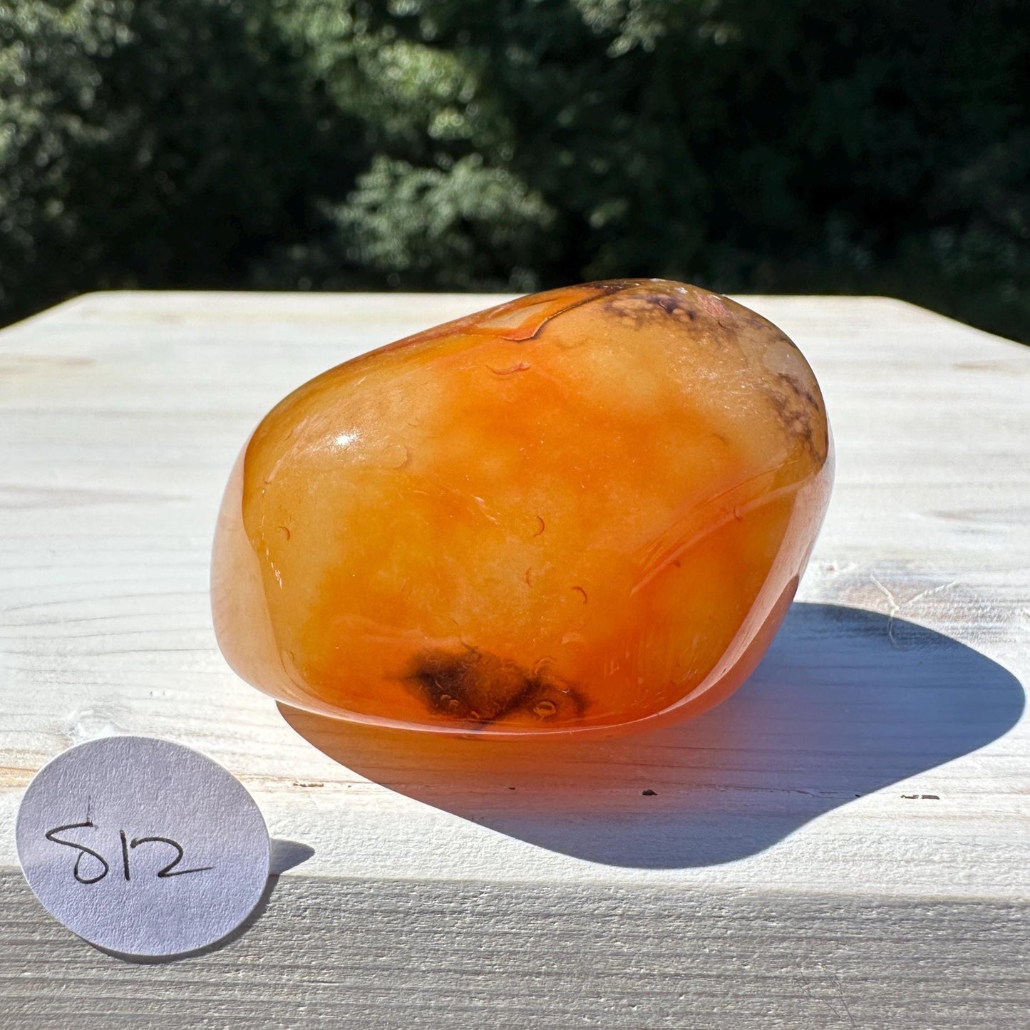 Gorgeous Sardonyx Freeform - #12