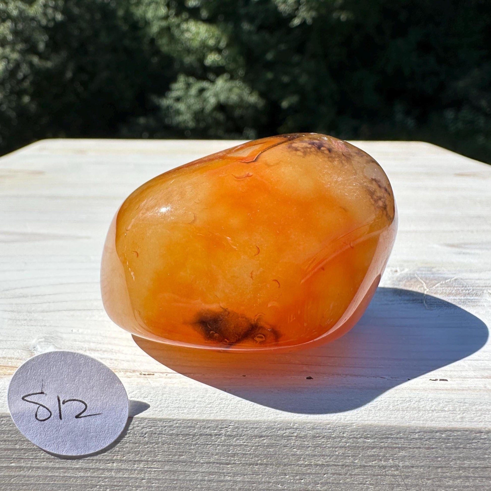 Gorgeous Sardonyx Freeform - #12