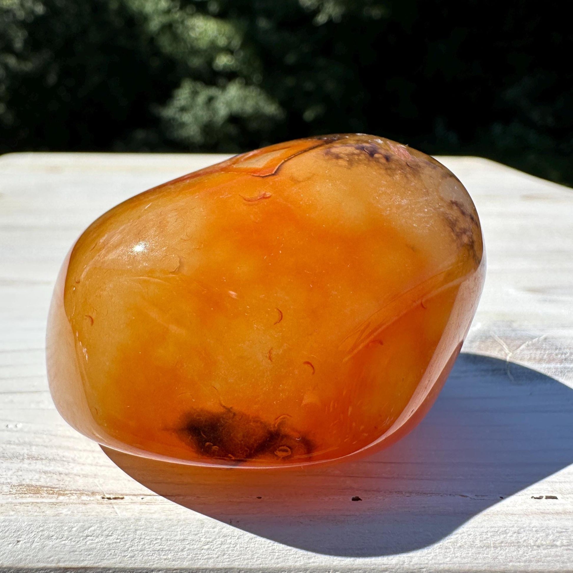 Gorgeous Sardonyx Freeform - #12
