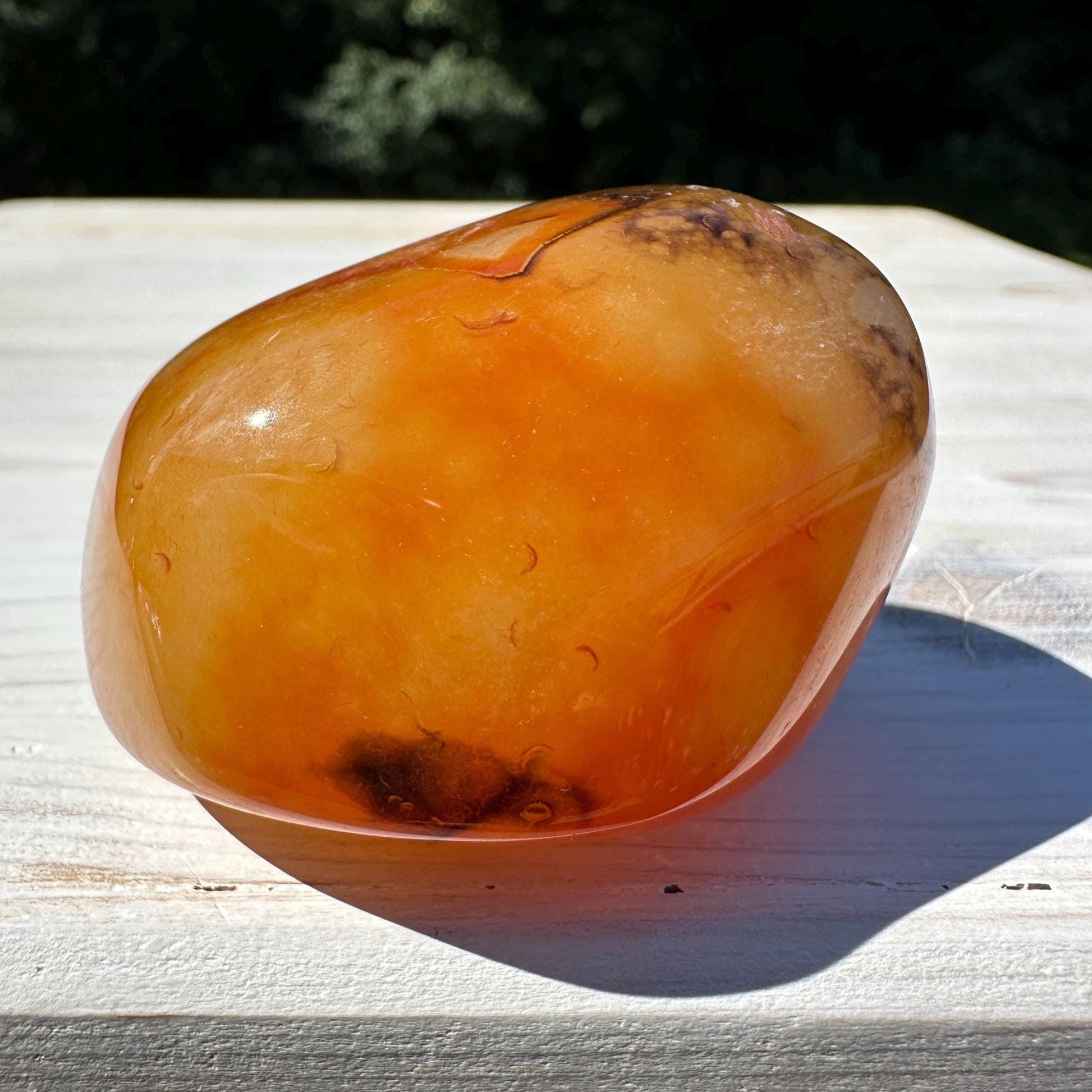 Gorgeous Sardonyx Freeform - #12
