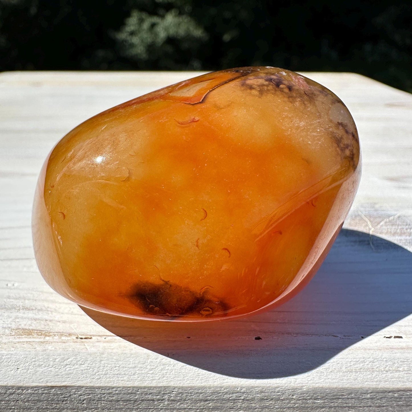 Gorgeous Sardonyx Freeform - #12