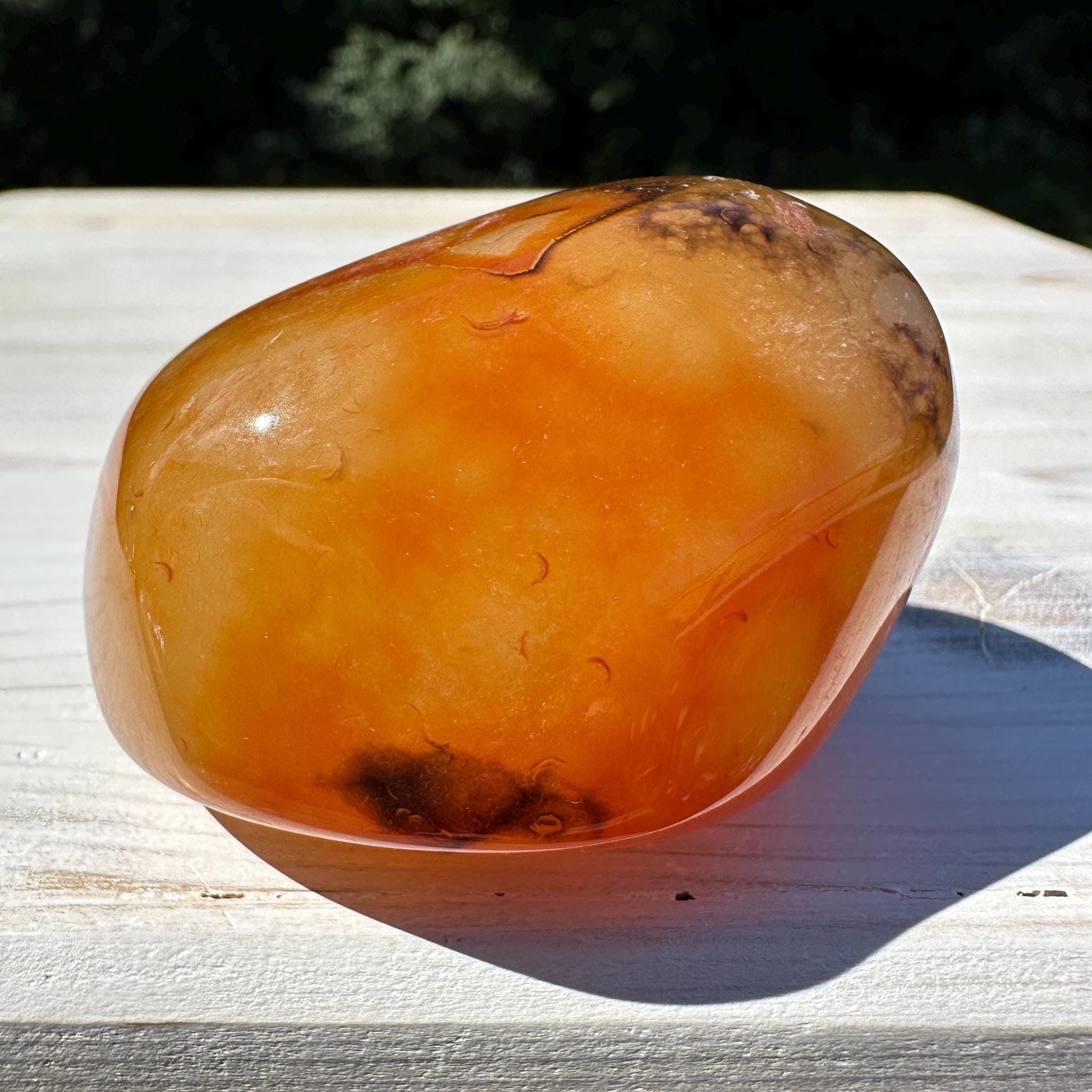 Gorgeous Sardonyx Freeform - #12