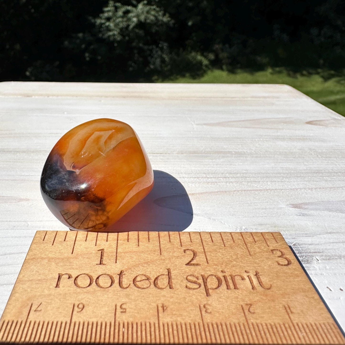 Gorgeous Sardonyx Freeform - #12