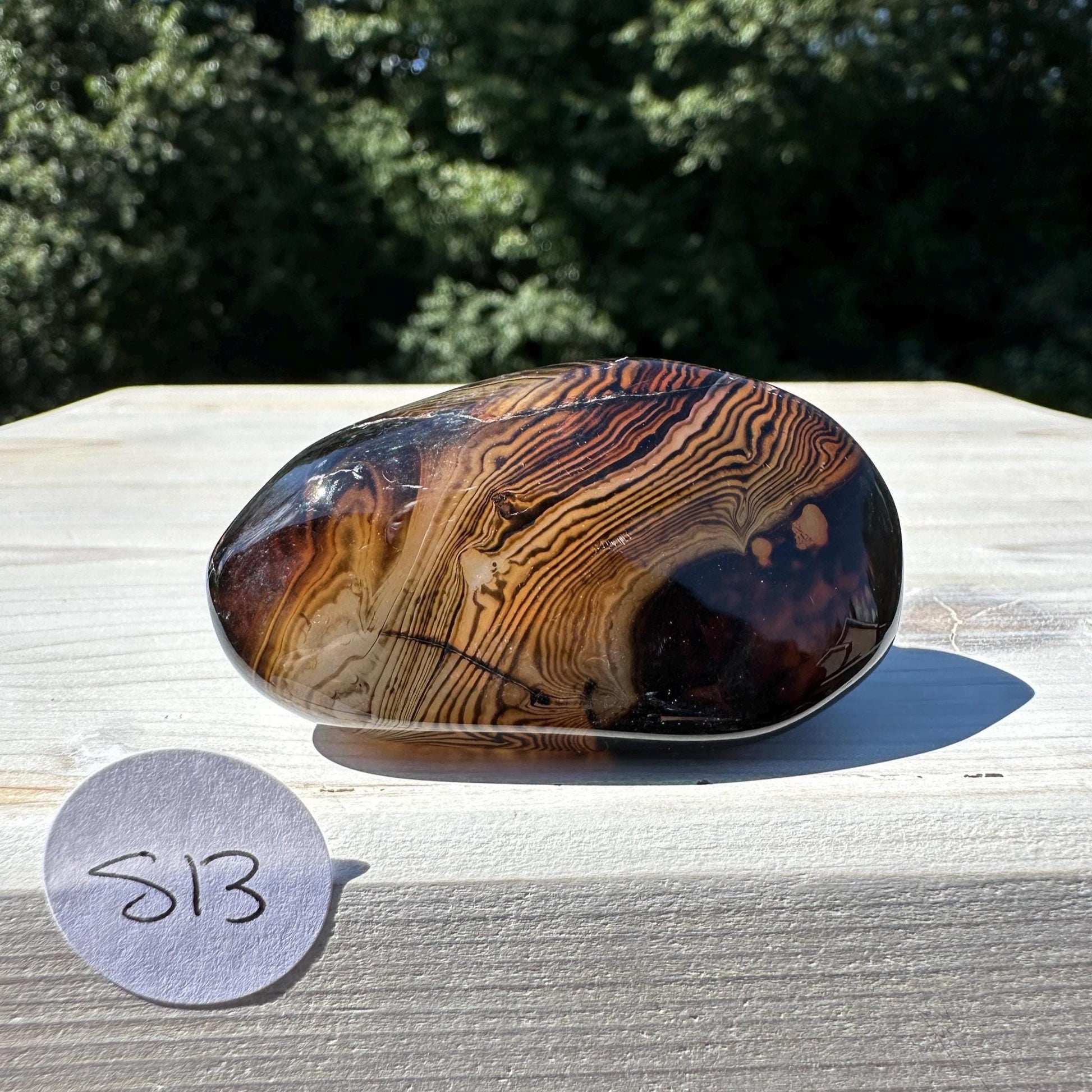 Gorgeous Sardonyx Freeform - #13