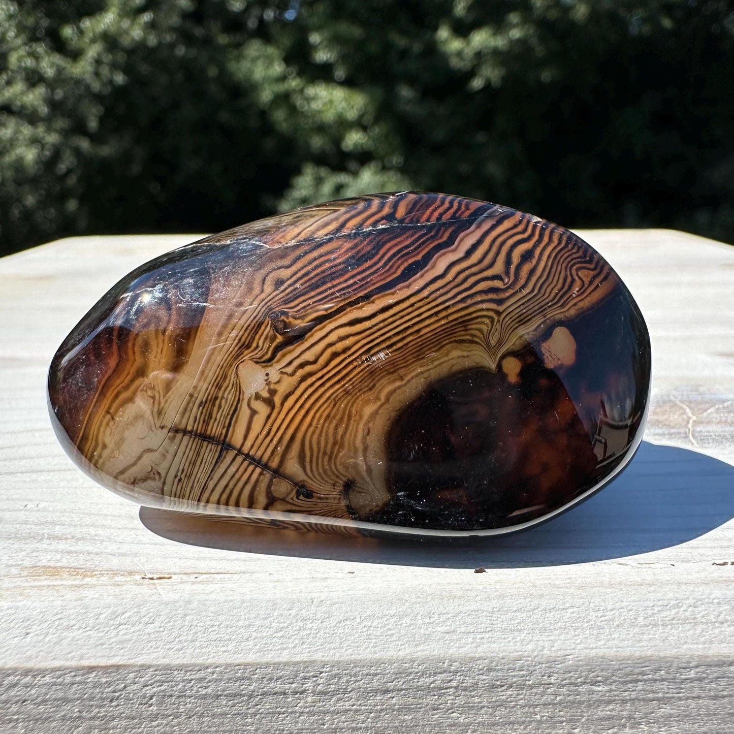 Gorgeous Sardonyx Freeform - #13
