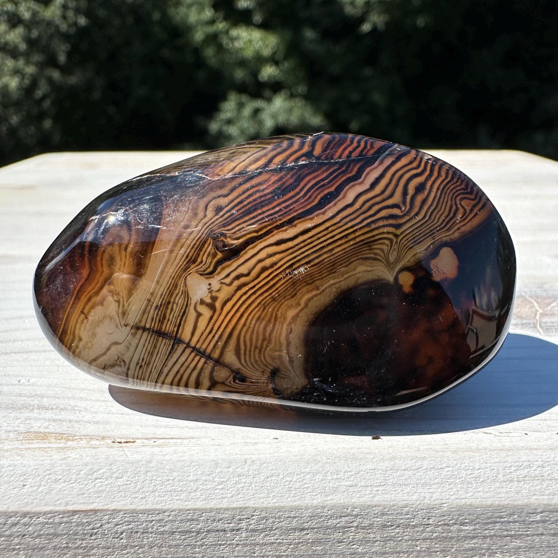 Gorgeous Sardonyx Freeform - #13