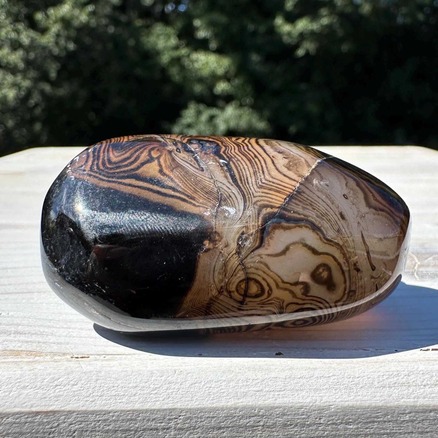 Gorgeous Sardonyx Freeform - #13