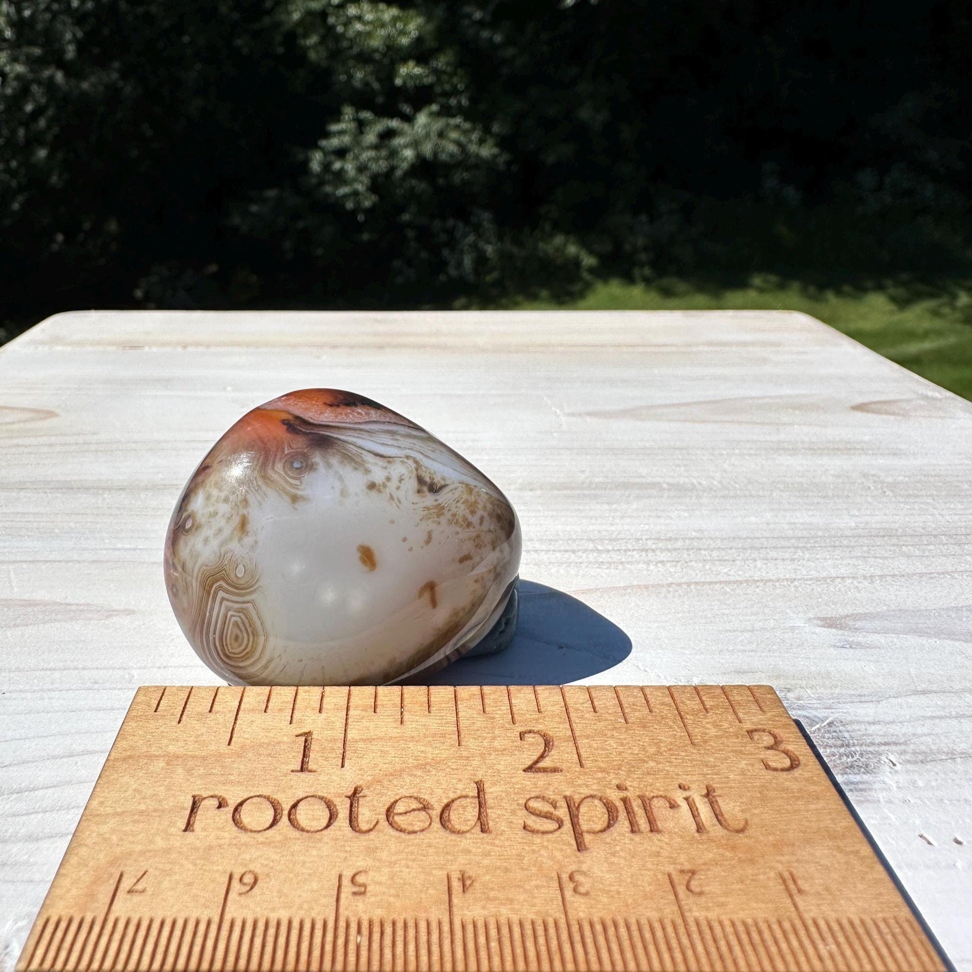 Gorgeous Sardonyx Freeform - #14