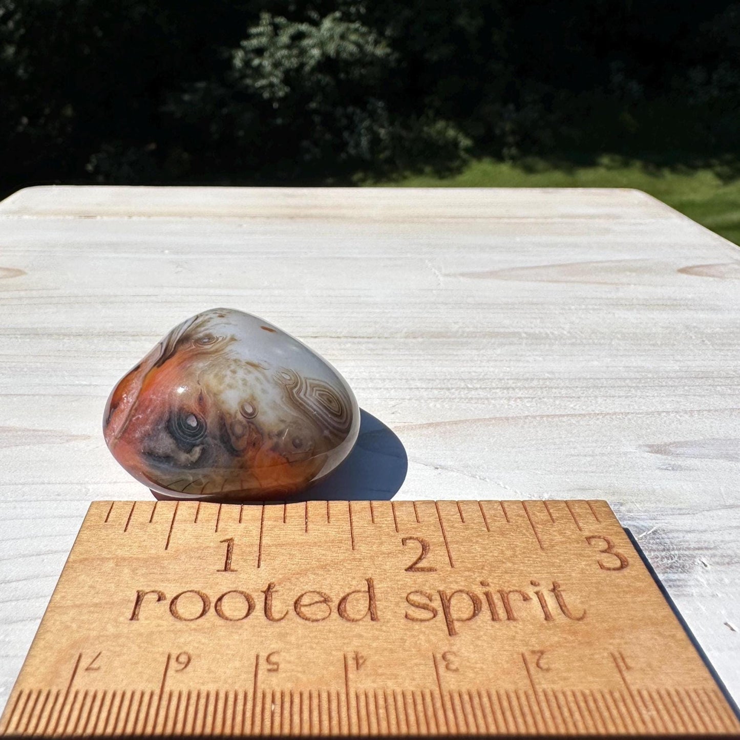 Gorgeous Sardonyx Freeform - #14