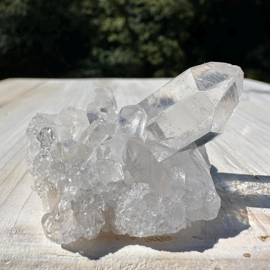 Pretty Clear Quartz Cluster - #1