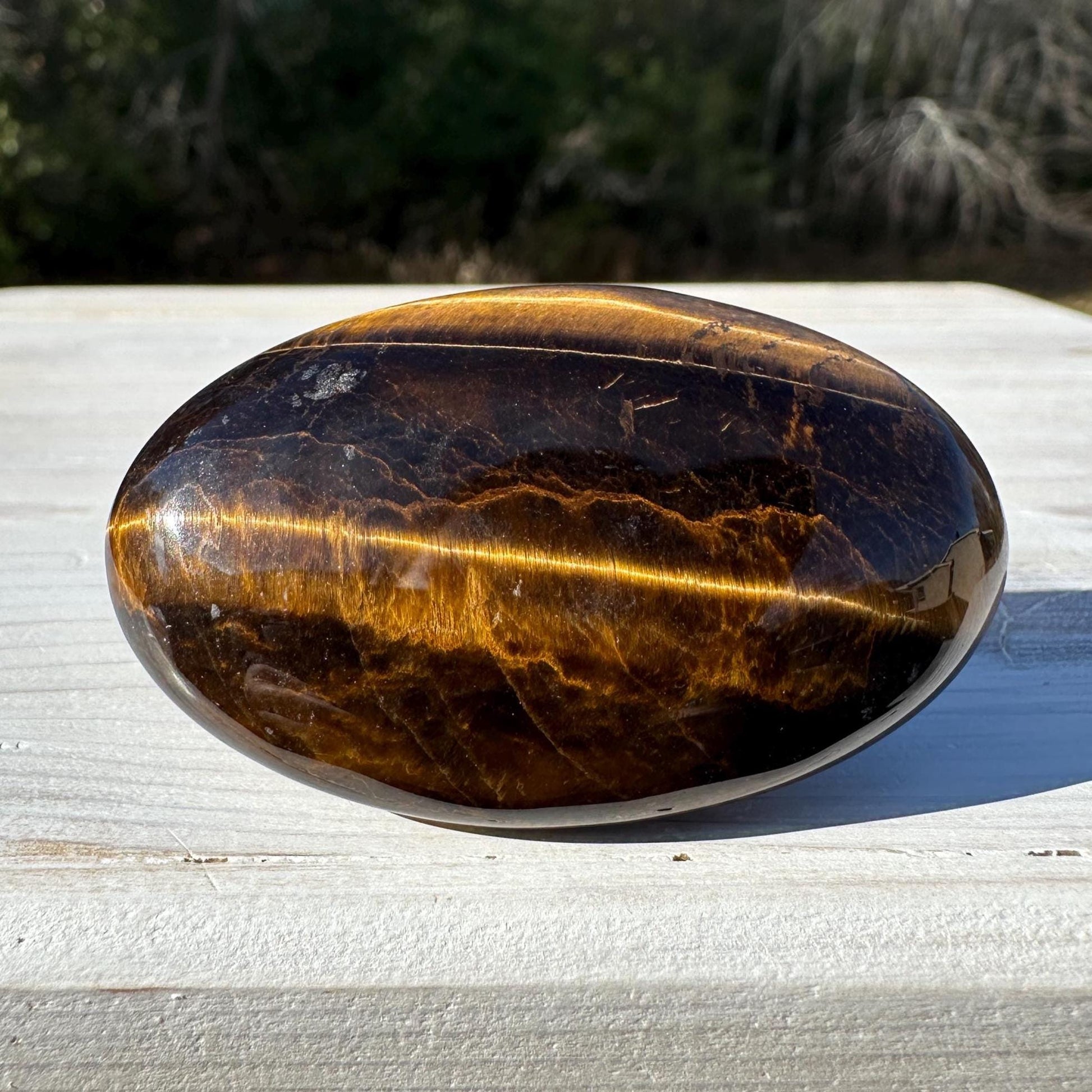 High Quality Natural Tiger Eye Palm Stone - #1