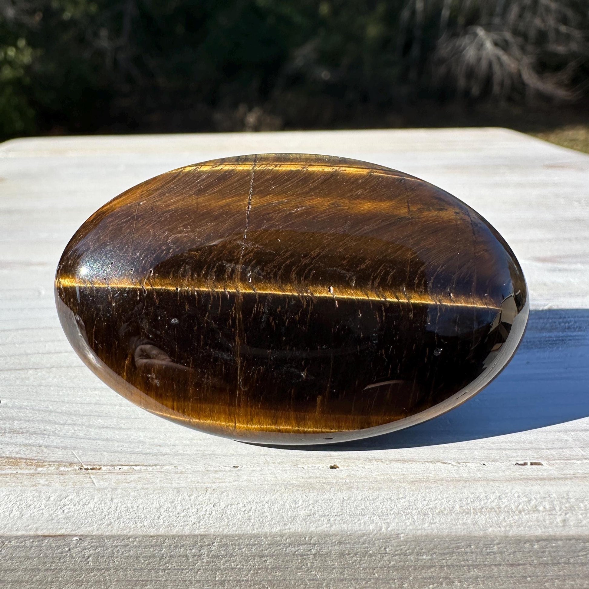 High Quality Natural Tiger Eye Palm Stone - #3