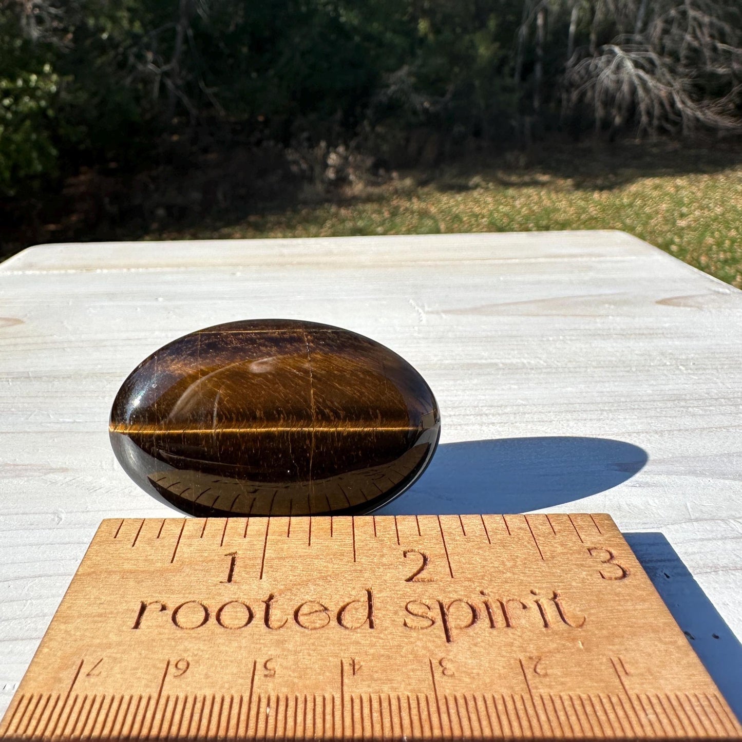 High Quality Natural Tiger Eye Palm Stone - #3