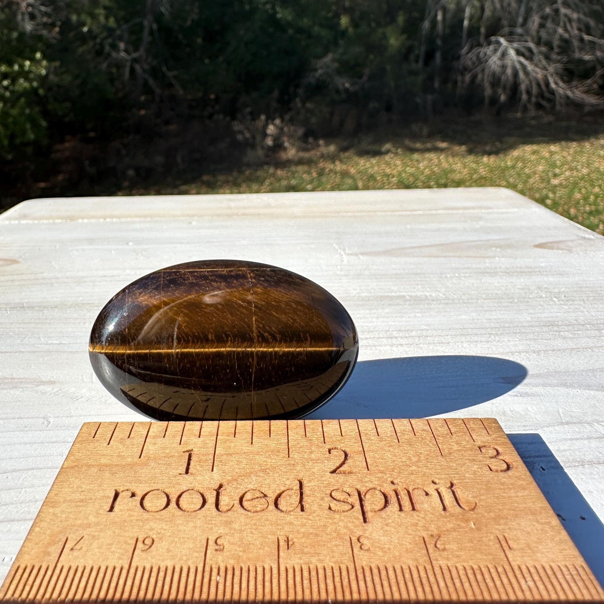 High Quality Natural Tiger Eye Palm Stone - #3