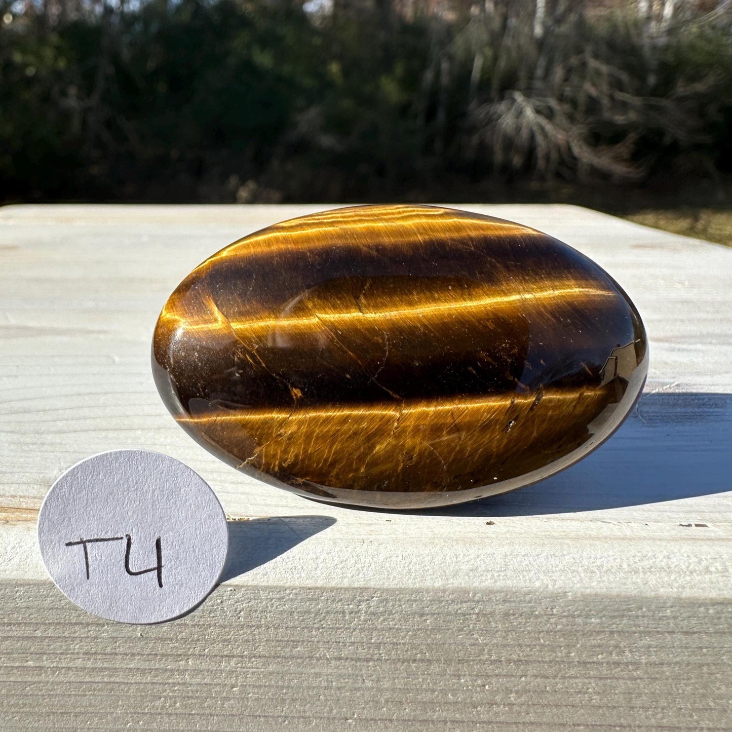 High Quality Natural Tiger Eye Palm Stone - #4