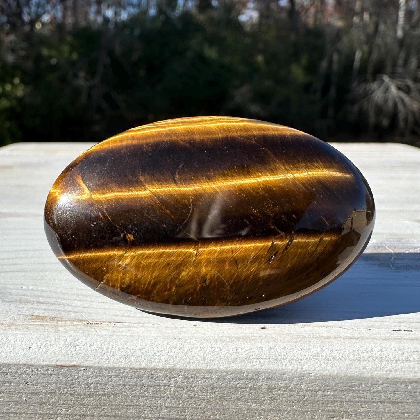 High Quality Natural Tiger Eye Palm Stone - #4