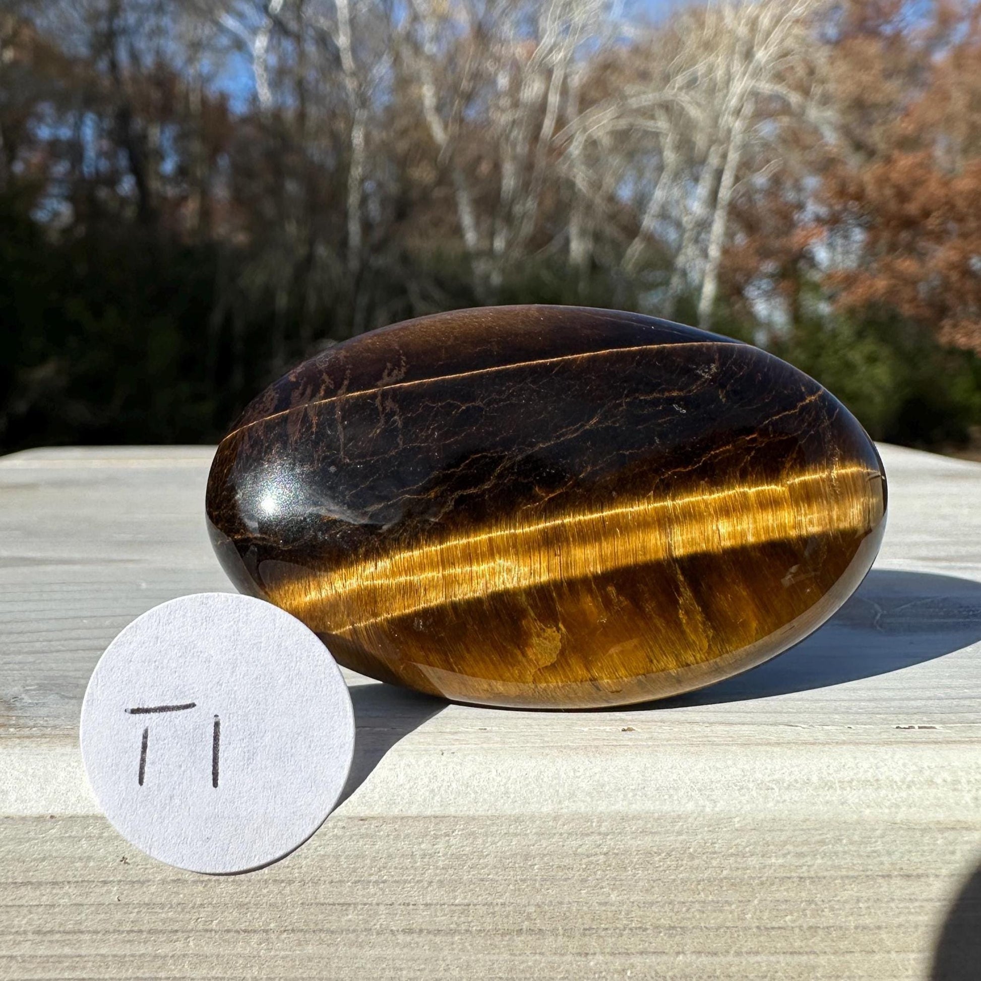 High Quality Natural Tiger Eye Palm Stone - #1